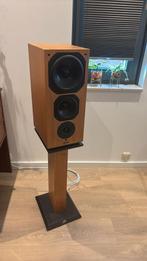 Chario Syntar 300 - High-End Italiaanse Monitor Luidsprekers, Zo goed als nieuw, 60 tot 120 watt, Front, Rear of Stereo speakers