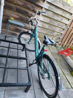 TREK Ibiza Damesfiets - Goed onderhouden, Overige merken, Gebruikt, Versnellingen, Ophalen of Verzenden