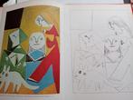 Paint with Picasso boek, Ophalen of Verzenden, Gelezen