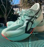 ASICS Metaspeed Sky Paris - maat 48, Gebruikt, Hardloopschoenen, Ophalen of Verzenden, Hardlopen