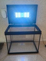 Vissenkom met licht incl. Accessoires, Ophalen, Zo goed als nieuw