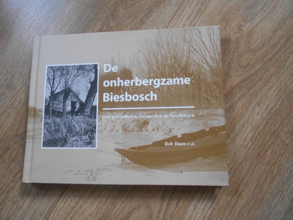 Rob Haan De onherbergzame Biesbosch, Boeken, Geschiedenis | Stad en Regio, Ophalen of Verzenden, Zo goed als nieuw