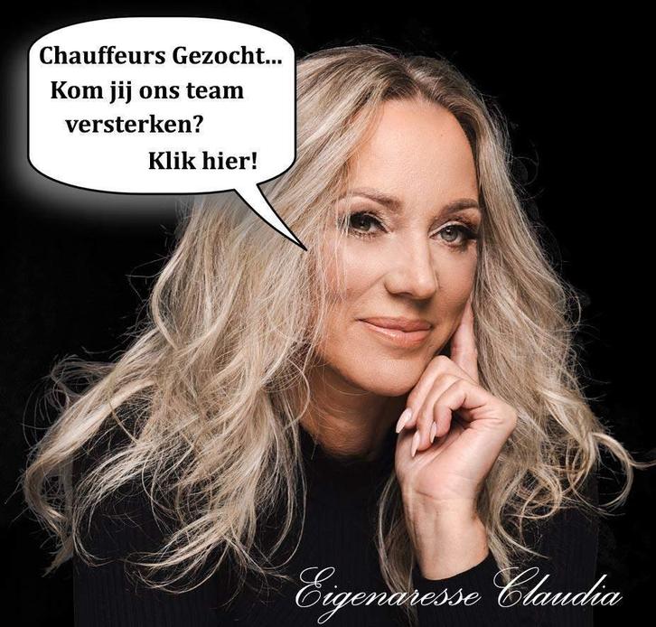Escort chauffeurs gezocht - Regio Amsterdam, Vacatures, Vacatures | Chauffeurs, Overige niveaus, Starter, Overige vormen, Geschikt als bijbaan