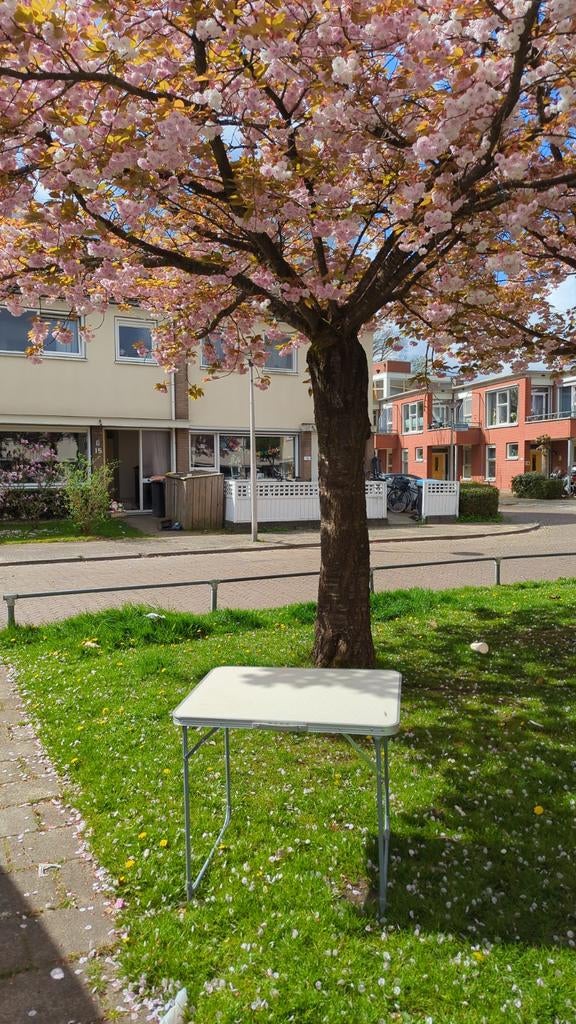 Campingtafel, Ophalen of Verzenden