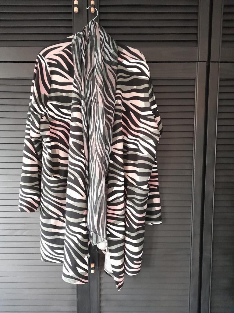 Prachtig vest met sjaal., Ophalen of Verzenden, Zo goed als nieuw, Trui of Vest