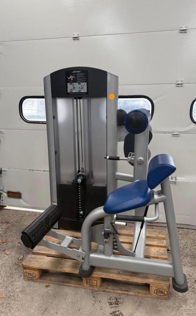Life Fitness Back extension / Ruckenstrecker / backextension, Ophalen, Benen, Gebruikt, -