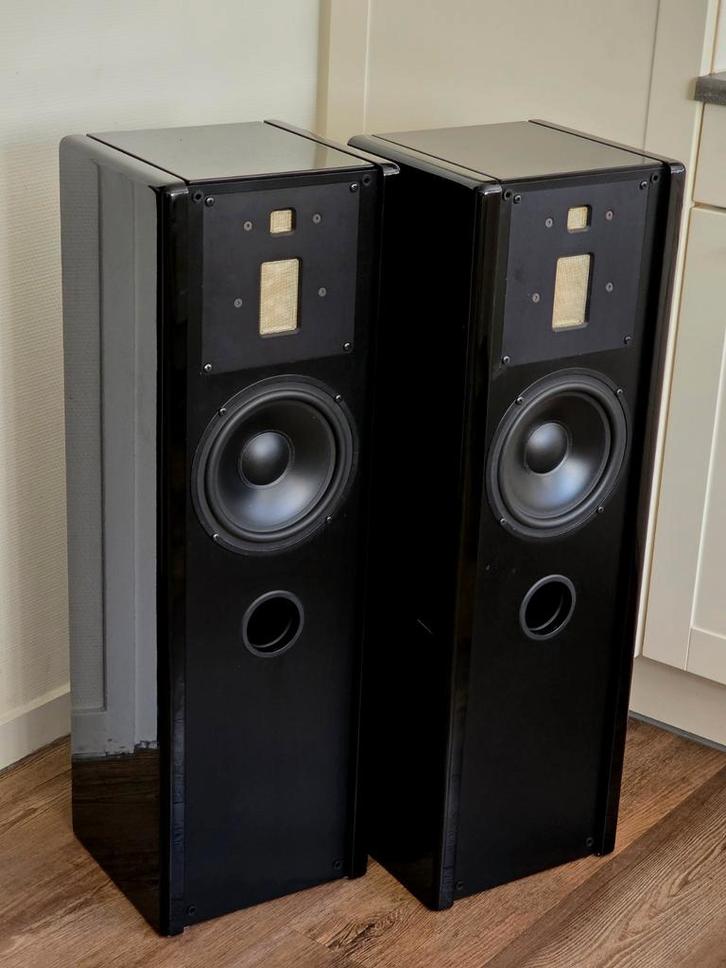 Piega LDR 4.0 High-End luidsprekers – Ribbon / Swiss Made, Audio, Tv en Foto, Luidsprekers, Zo goed als nieuw, Front, Rear of Stereo speakers