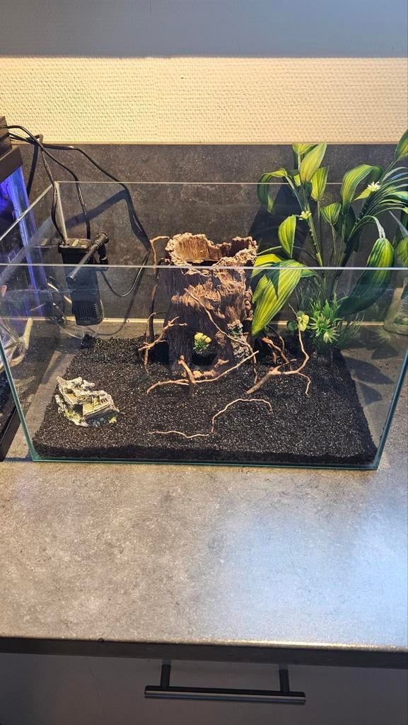 Aquarium, Dieren en Toebehoren, Ophalen of Verzenden, Zo goed als nieuw, Leeg aquarium