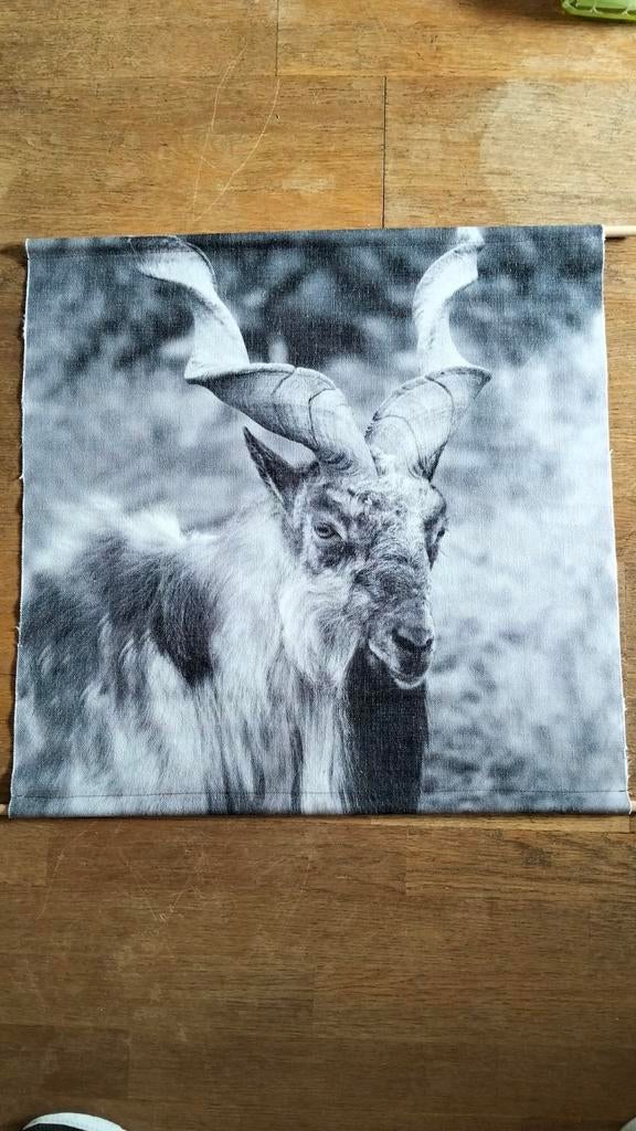 Wanddoek bok/geit, Ophalen of Verzenden