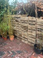 Aardappelkistjes 60 x 40 x 13 cm, Ophalen, Gebruikt, 40 tot 60 cm, 50 tot 75 cm