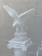 Adelaar, 60x60cm, Ophalen, Nieuw, Beton, Dierenbeeld