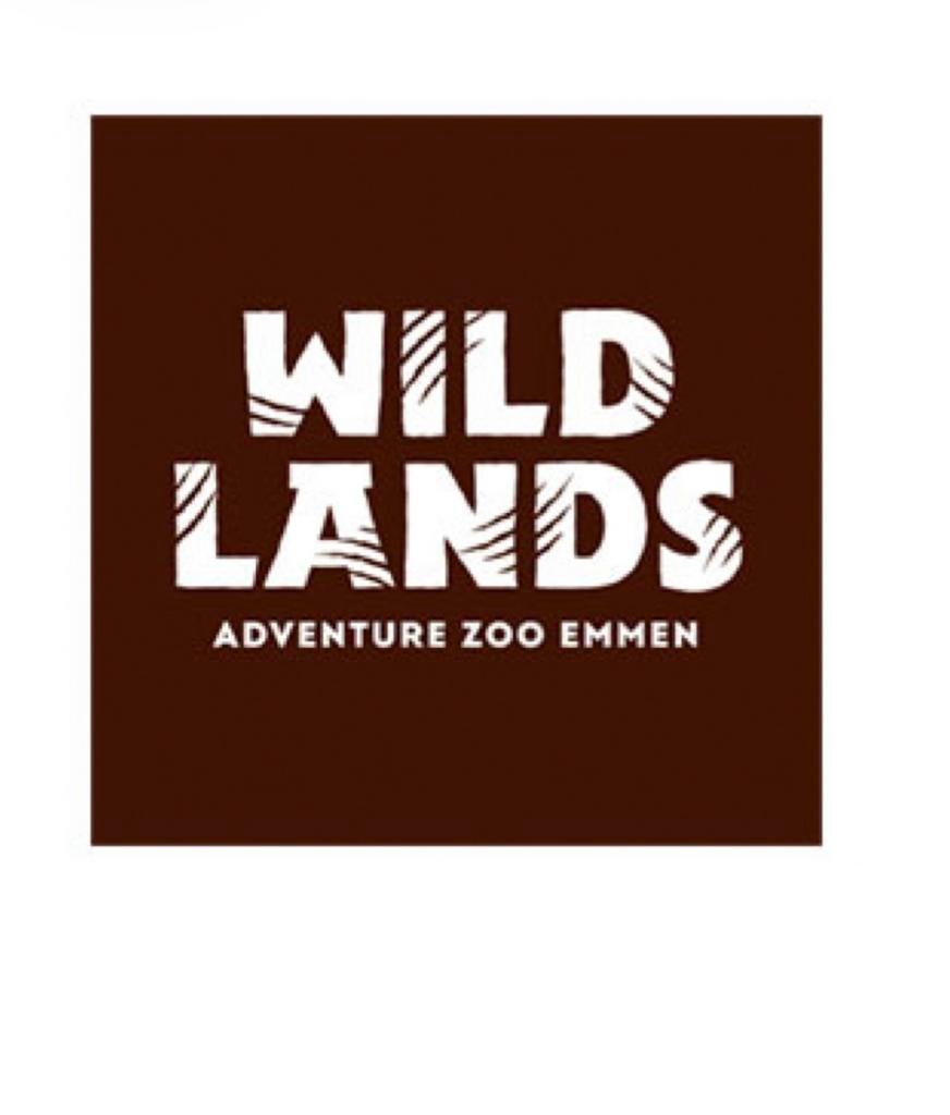 Kaartje, Eén persoon, Ticket of Toegangskaart