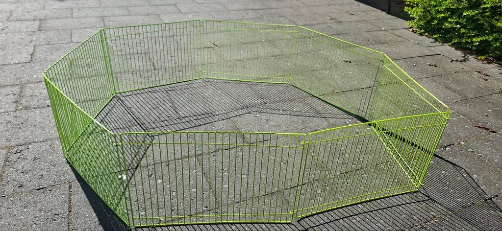 Hamster ren, Dieren en Toebehoren, Minder dan 75 cm, Hamster, Ren, Ophalen