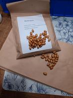 Bruine Bonen, Ophalen of Verzenden, Voorjaar, Volle zon, Zaad