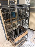 Papegaaienkooi, Dieren en Toebehoren, Ophalen, Metaal, Vogelkooi