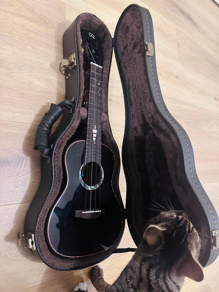 Realsun NV101C Ukelele met luxe hardcase, Ophalen of Verzenden, Zo goed als nieuw, Ukelele