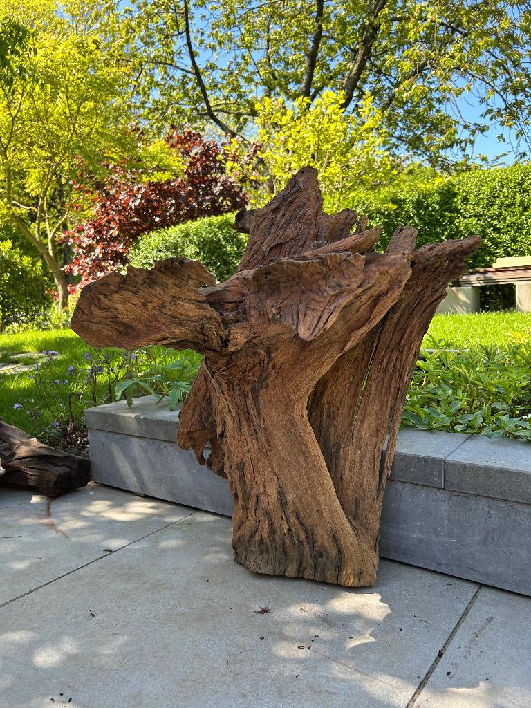 Diverse grote stukken Aquariumhout, Ophalen, Gebruikt, Plant(en), Steen of Hout