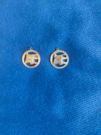 2 VIS  sterrenbeeld hanger, Sieraden, Tassen en Uiterlijk, Kettinghangers, Overige materialen, Ophalen of Verzenden, Zo goed als nieuw