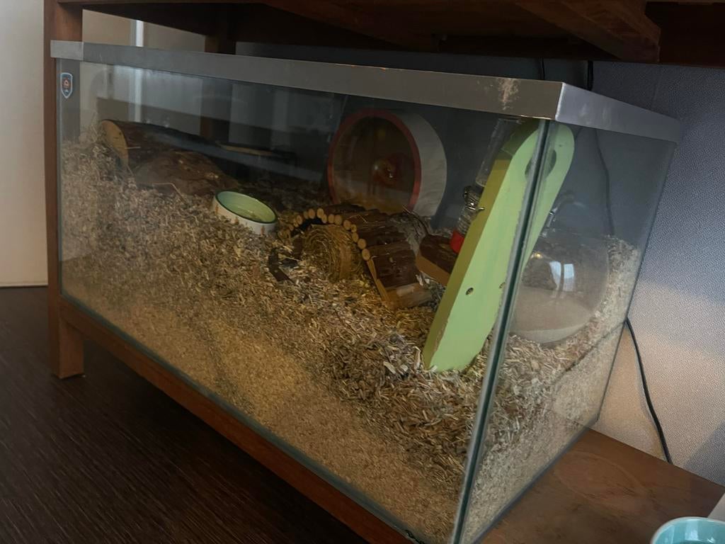Hamsterverblijf/Terrarium van 80x40x40, Dieren en Toebehoren, Hok, 75 tot 110 cm, Ophalen, Minder dan 60 cm
