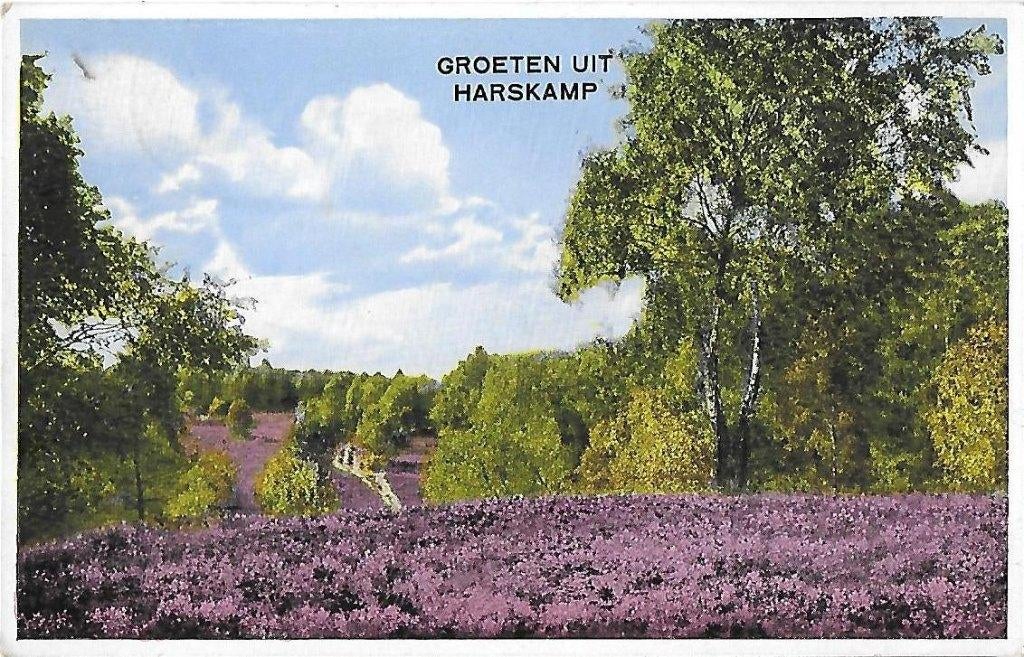 Harskamp heide 1937 oude gelopen ansichtkaart ( 8465 ), Ophalen of Verzenden, Voor 1920, Gelopen