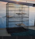 Kattenren/kattenkooi/kittenkooi, Ophalen, Gebruikt
