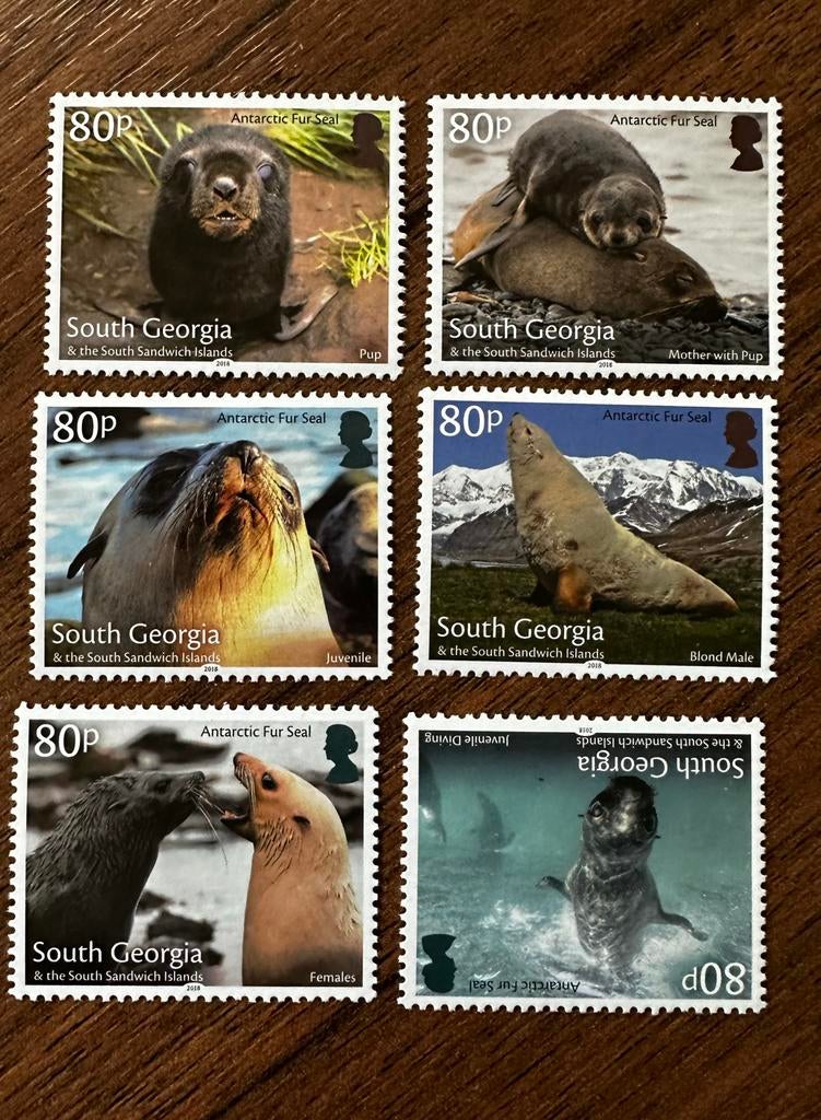South Georgia 2018 zeehonden robben postfris, Ophalen of Verzenden, Postfris