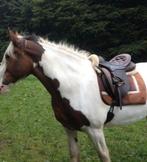 EQUESTOR TRAIL bruin zadel, Dieren en Toebehoren, Paarden en Pony's | Zadels, Ophalen of Verzenden, Zo goed als nieuw