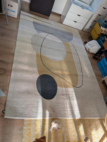 Mooi Vloerkleed - Modern Design - 200 x 300 cm beschikbaar voor biedingen