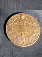 Penning Nederlandse spoorwegen 1914., Ophalen of Verzenden, Brons, Nederland