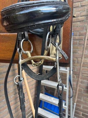 Stang en trens hoofdstel beschikbaar voor biedingen