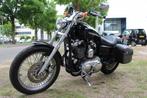 Harley-Davidson Sportster 1200 XL 1200 Cc, Motoren, Motoren | Harley-Davidson, Chopper, Bedrijf, 1202 cc, Meer dan 35 kW