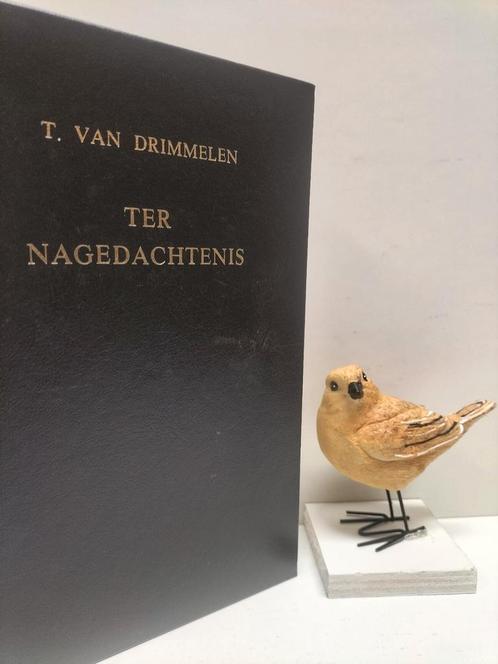 Drimmelen, T. van; Ter nagedachtenis, Boeken, Godsdienst en Theologie, Gelezen, Christendom | Protestants, Ophalen of Verzenden