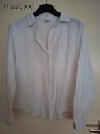Verschillende blouses, Ophalen of Verzenden, Zo goed als nieuw, Overige kleuren