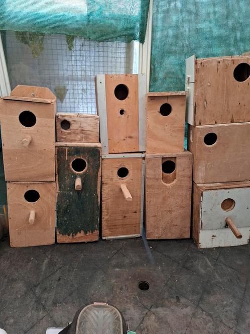 Nestblokken voor parkiet,valkparkiet,halsband,pruimkop enz., Dieren en Toebehoren, Vogels | Hokken en Kooien, Gebruikt, Vogelkooi