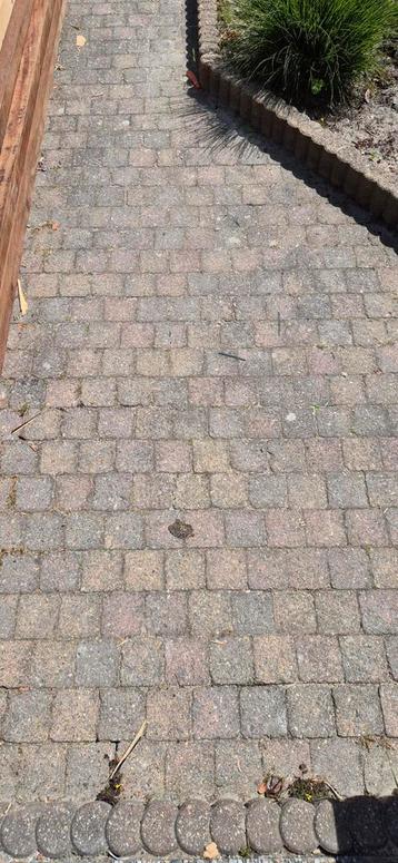Cobbelstones 10x10 10m2 Gratis beschikbaar voor biedingen