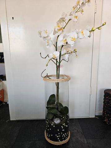 Nep orchidee op glazen pot