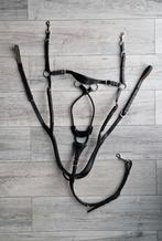 Kavalkade Caya borsttuig, Dieren en Toebehoren, Paarden en Pony's | Hoofdstellen en Tuigage, Ophalen of Verzenden, Zo goed als nieuw