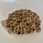 Keramiek beeldje Schildpad, Antiek en Kunst, Ophalen of Verzenden