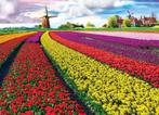 Eurographics - Tulip Fields Netherlands - 1000 stukjee, Hobby en Vrije tijd, Denksport en Puzzels, Nieuw, Ophalen of Verzenden