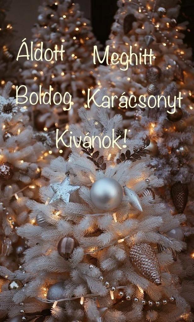 Gezocht woonruimte, Huizen en Kamers, Op zoek naar een kamer