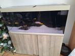 Eheim aquarium 120cm, Ophalen, Gebruikt, Gevuld zoetwateraquarium