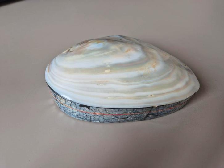 Sieradendoos of opbergdoosje schelp, Sieraden, Tassen en Uiterlijk, Armbanden, Zo goed als nieuw, Overige materialen, Rood, Ophalen