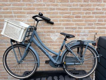 Cortina L4 transport grijsblauw 24 inch met kratje beschikbaar voor biedingen