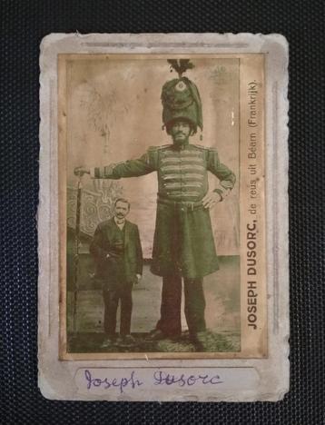 Drie foto's van reuzen   beschikbaar voor biedingen