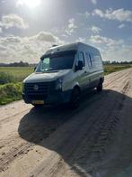 Camperbus, Chemisch toilet, Volkswagen, Tot en met 2, Reservewiel