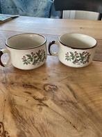 Twee Rosa Canina kommen, Gebruikt, Ophalen of Verzenden, Kom(men), Overige stijlen