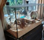 Hamster met luxe terrarium en alle toebehoren,, Overige typen, Zo goed als nieuw, Hamster, 75 tot 110 cm