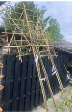 Lei fruitbomen voor fruit uit eigen tuin nu Planttijd.., Ophalen of Verzenden, Lente, Volle zon, Overige soorten