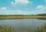 HORST Recreatiegebied De Kasteelsebossen, Verzamelen, Ansichtkaarten | Nederland, Verzenden, 1980 tot heden, Ongelopen, Limburg