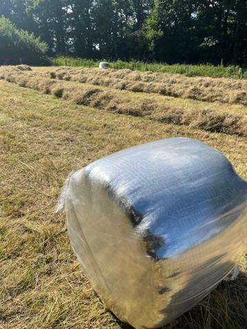 Paardenhooi in MIDI balen, oogst juni 2025 beschikbaar voor biedingen